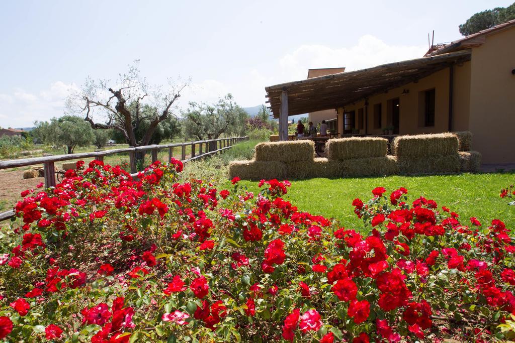 Casone Ugolino Guest House Donoratico Exterior photo
