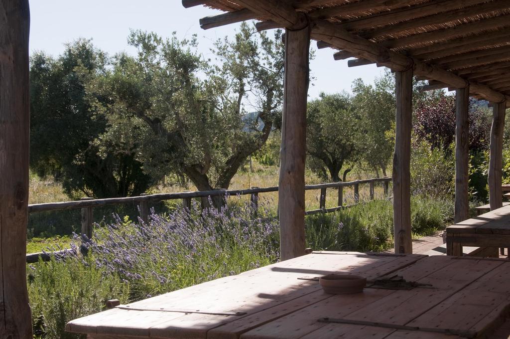 Casone Ugolino Guest House Donoratico Exterior photo