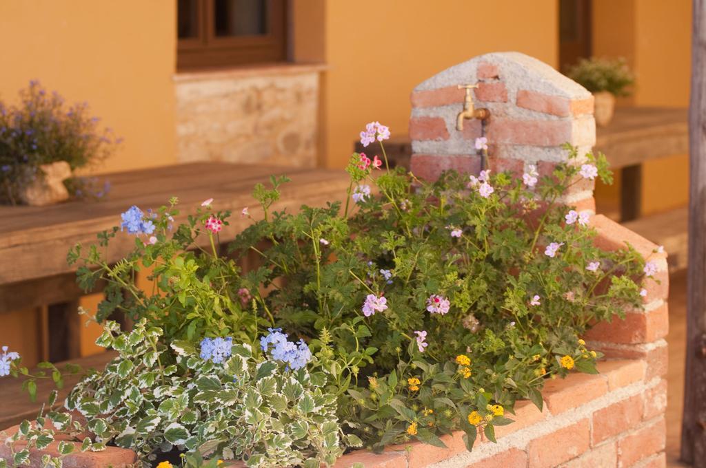 Casone Ugolino Guest House Donoratico Exterior photo
