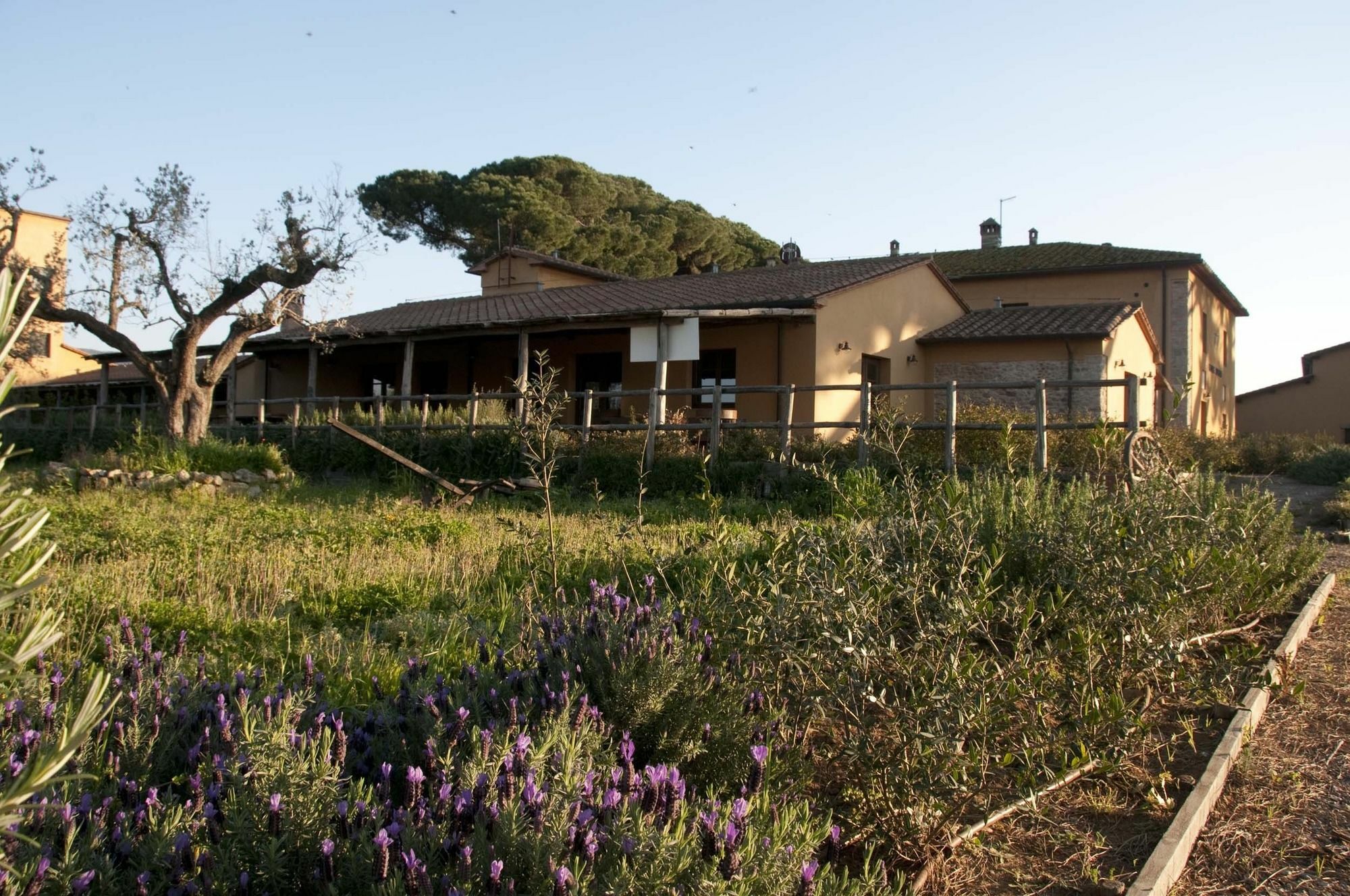 Casone Ugolino Guest House Donoratico Exterior photo