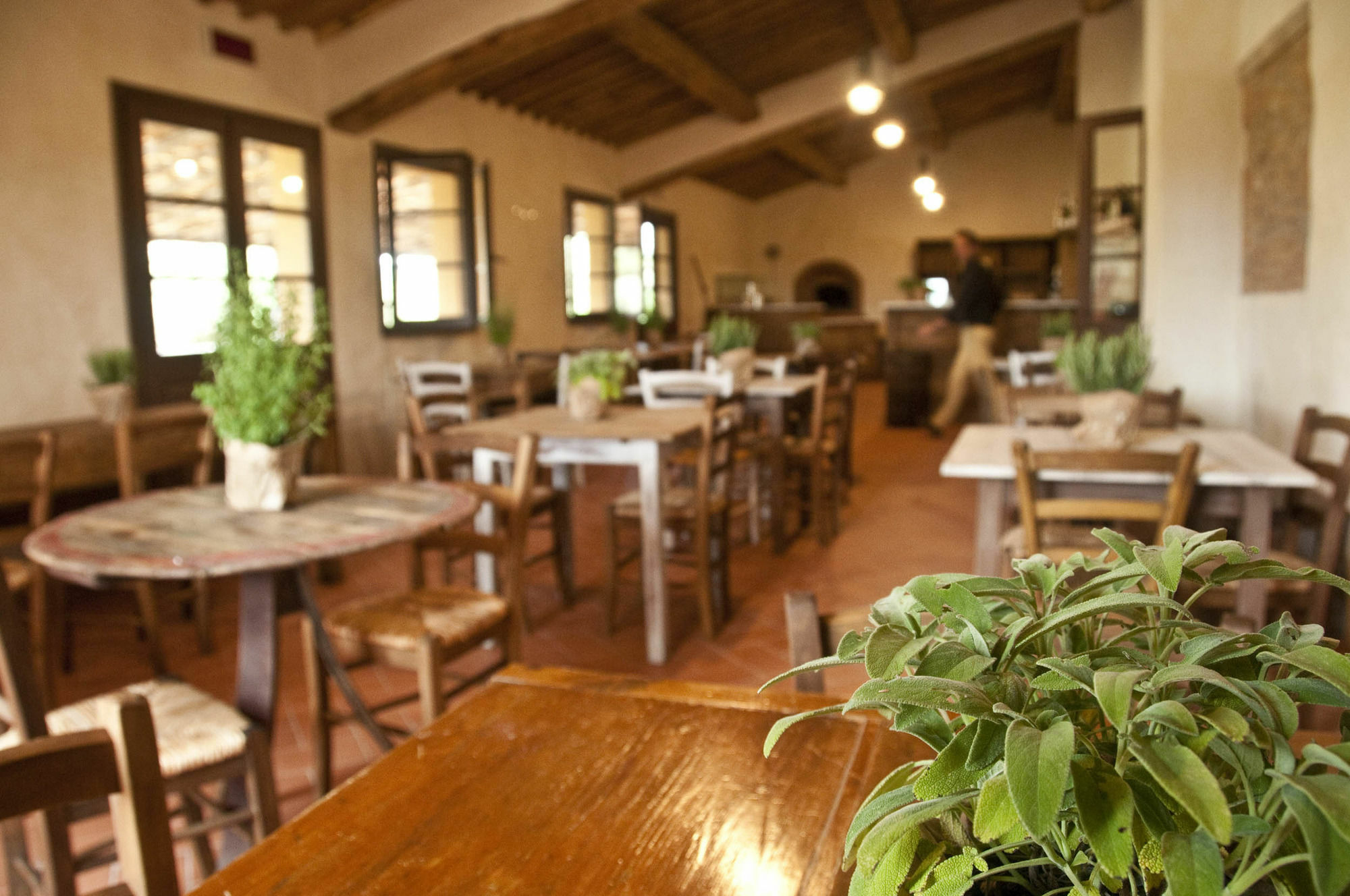Casone Ugolino Guest House Donoratico Exterior photo