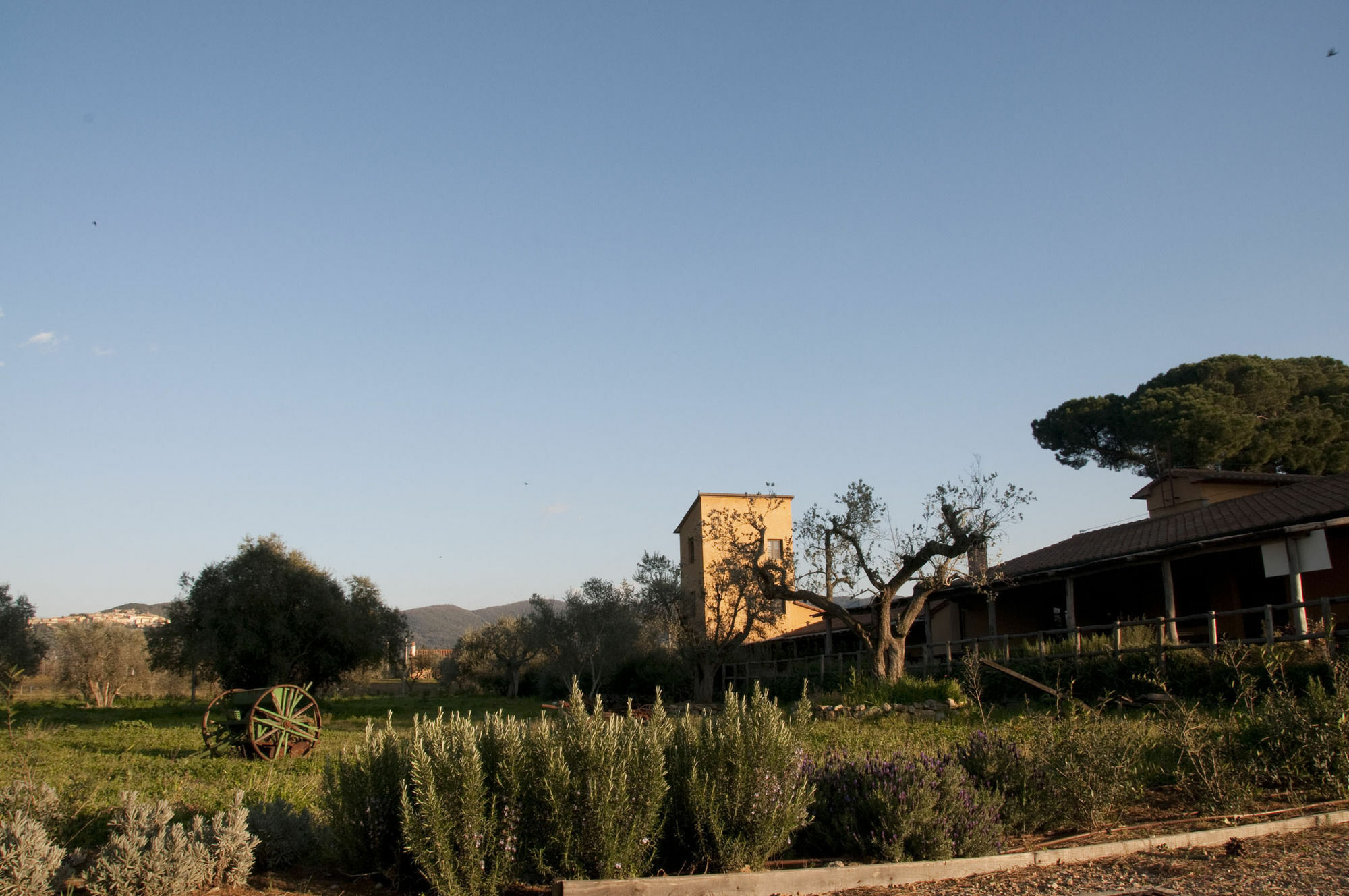 Casone Ugolino Guest House Donoratico Exterior photo