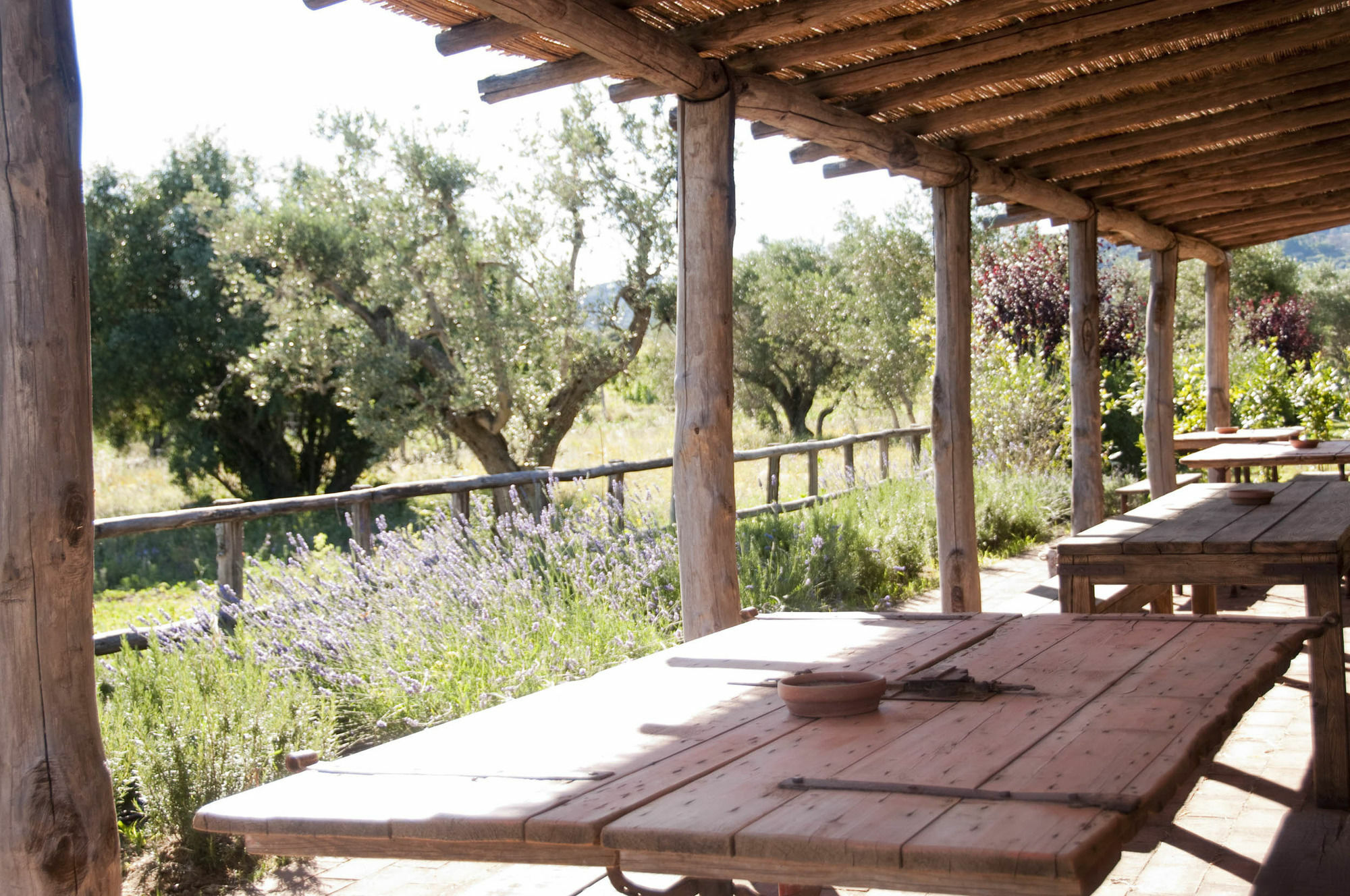 Casone Ugolino Guest House Donoratico Exterior photo